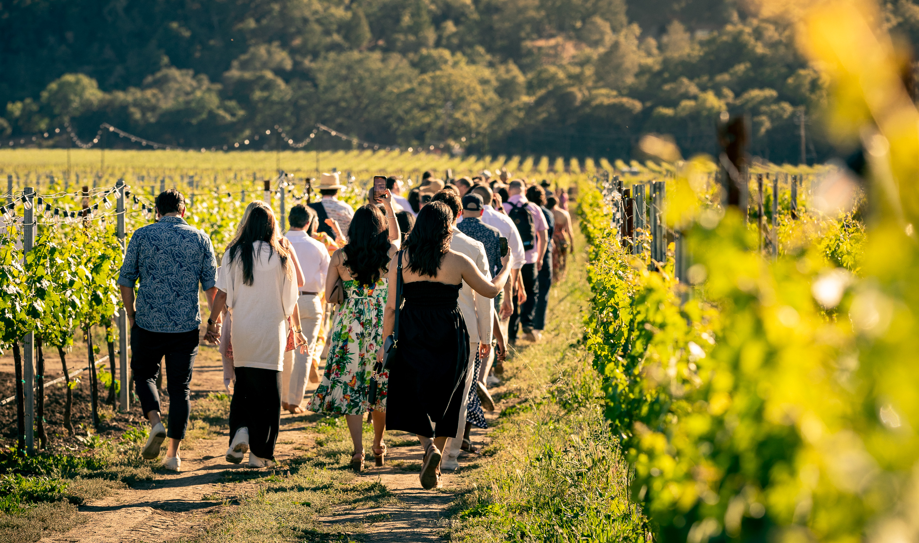 A large group of people walking through the vines at Robert Mondavi Winery
